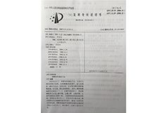 专利